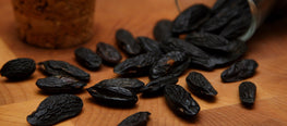 What Does Tonka Bean Smell Like in Perfume?