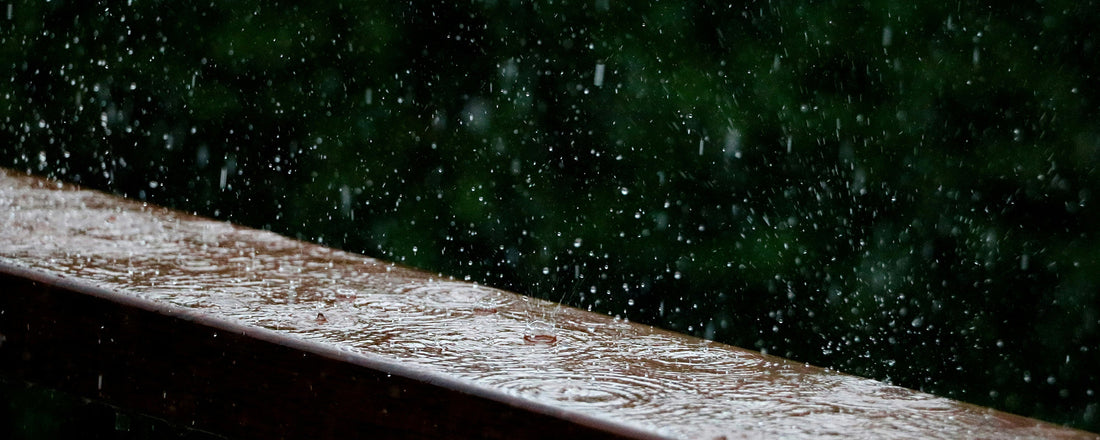 What Does Petrichor Scent Really Smell Like?