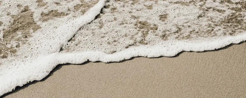 What Does Ambergris Smell Like? A Complete Guide