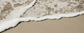 What Does Ambergris Smell Like? A Complete Guide