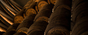 Scent Breakdown: What Does Rum Smell Like in Perfume