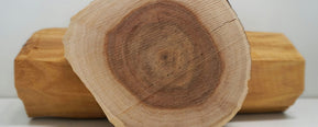 What Does Sandalwood Smell Like? A Complete Guide