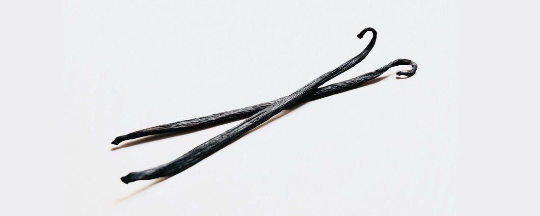 What Does Vanilla Smell Like: A Complete Guide
