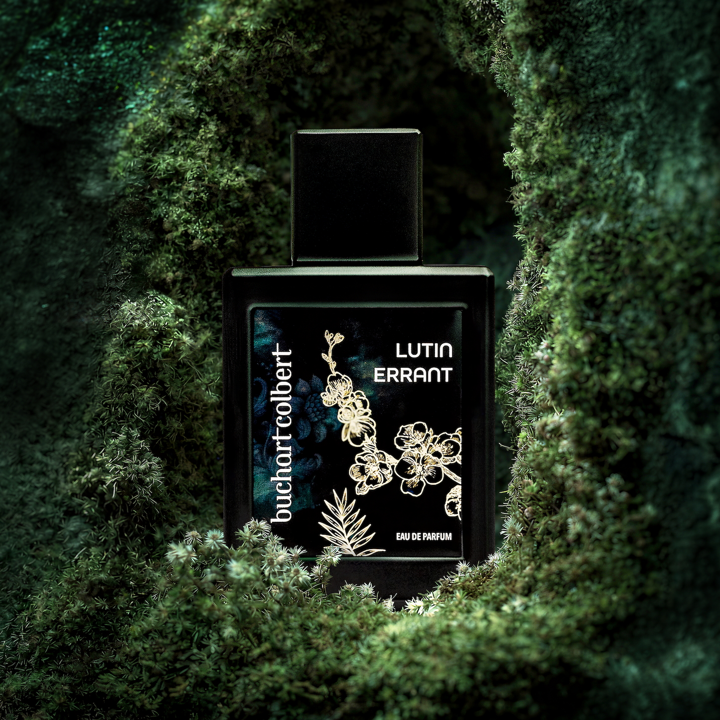 Lutin Errant