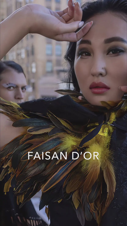 Faisan d'Or
