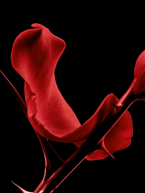 Meet Fragrances Video